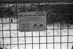 img4716a
