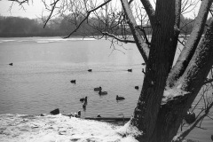 img4725a