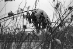 img4726a