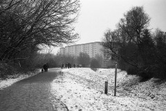 img4736a