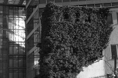 img4740a