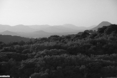 img739a