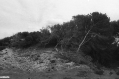 img763a