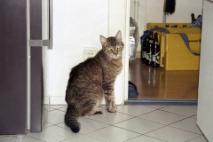 img2459a