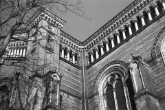 img4969a
