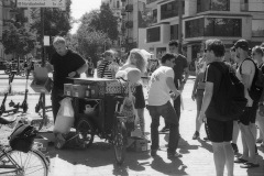 img4591a