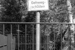 img4596a