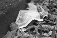 img4559a
