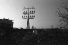 img4568a