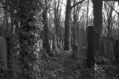 img4582a