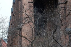 DSCF6982a_web