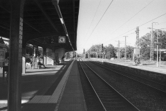 img2409a