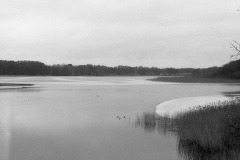 img1712a