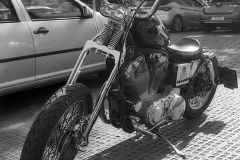 img2872a