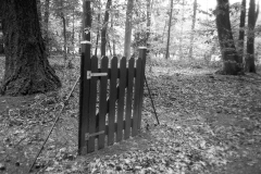 img1190a