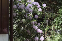 IMG_0166a