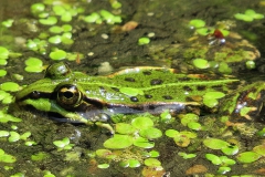 IMG_0103a
