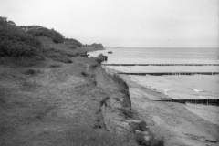 img3594a