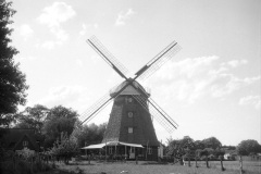 img3597a